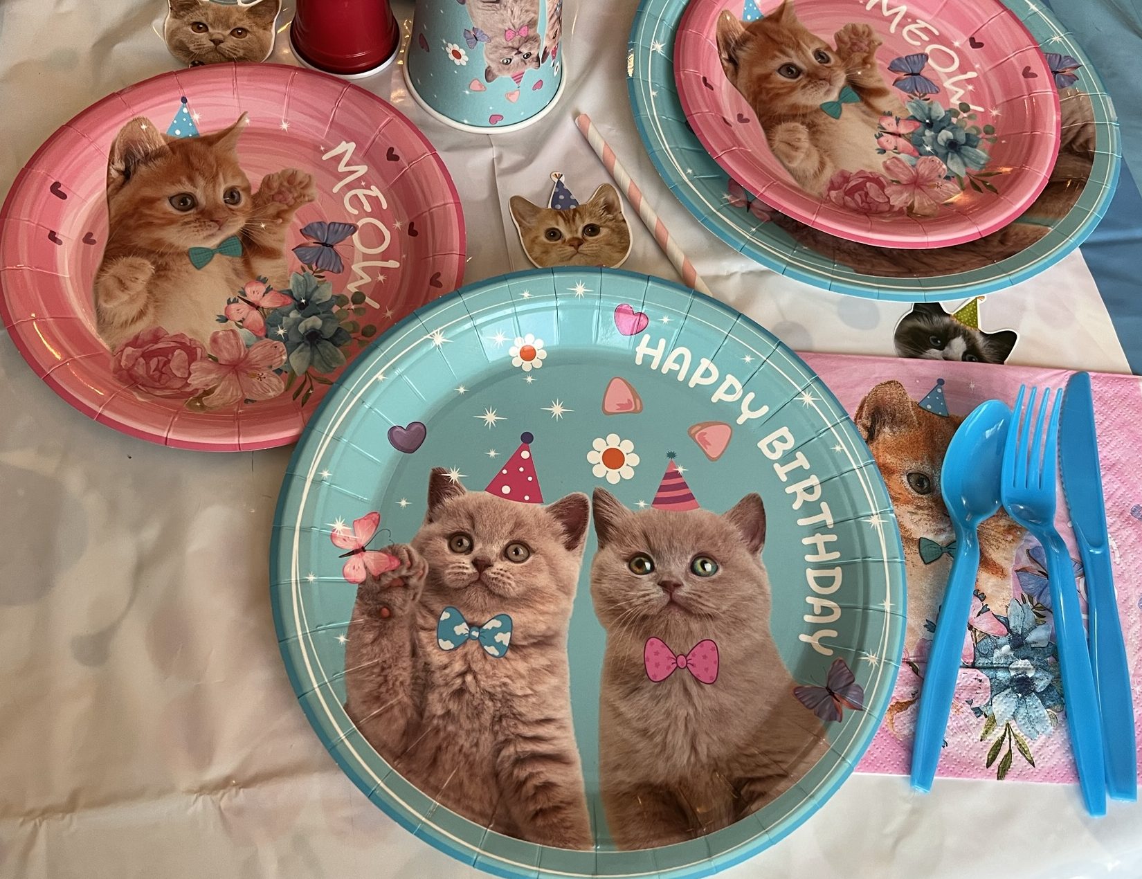 Cat Birthday